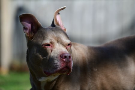 DSC_0731.JPG DSC_0731.JPG