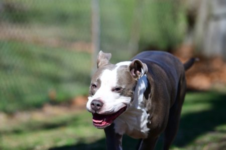 DSC_0773.JPG DSC_0773.JPG