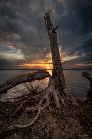 DSP-0932-20260322.jpg DSP-0932-20260322.jpg