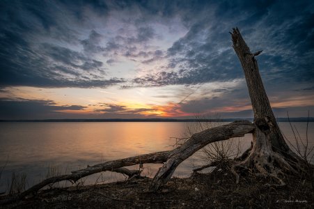 DSP-0791-20260322.jpg DSP-0791-20260322.jpg