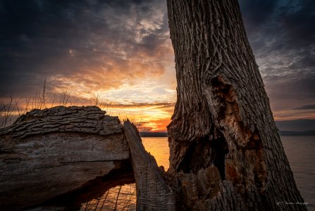 DSP-0829-20260322.jpg DSP-0829-20260322.jpg