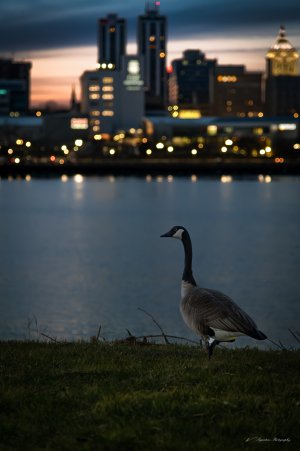 DSP-1086-20260323.jpg DSP-1086-20260323.jpg