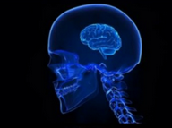 1774572818731.png 1774572818731.png