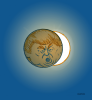 1580850180461.png