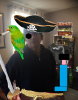 1582656319474.png