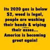 FB_IMG_1584759300475.jpg