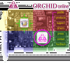 Orchid.gif
