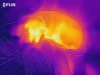 flir_20190103T114826.jpg