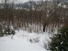 snowJan2019_900p.jpg