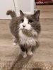 threema-20181228-202053-ef314d6f426c4b04.jpg