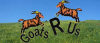 1589494178099.png