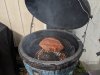 IMG_20200517_101125.jpg