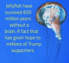 1590766101194.png