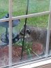 IMG_20200426_195623598.jpg