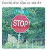 1594586443551.png
