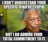 2273bd74fdb6f819b6b4f608c0be0aa3.jpg