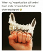 1595097374862.png
