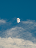 afternoon-moon_44051410744_o.png