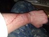 IMG_20190308_173801.jpg