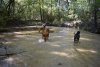 dogs-creek-1.JPG
