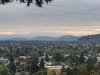 IMG_20200923_072819.jpg