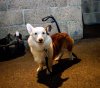 2016-02-17_03-32-35.jpg