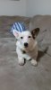 20160305_180537.jpg