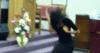 83.gif