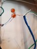 20201105_095715.jpg