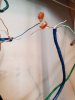 20201105_095712.jpg
