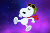 1605141714900.png