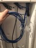 Terminated Cat5e.jpg