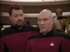 giphy (1).gif