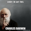 1606448552418.png