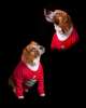 1606959451876.png