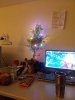 IMG_20201202_082430.jpg