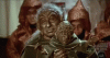 yoda.gif