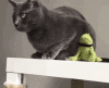 01_001.gif