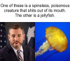 1611105317999.png
