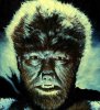 wolfman2.jpg