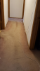 1613862003884.png