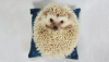 1613930664086.png