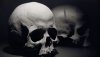 skull-wallpaper-full-hd-1080p-320812.jpg skull-wallpaper-full-hd-1080p-320812.jpg