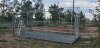20200809_175310.jpg