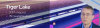1617620806941.png