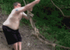 01_001.gif