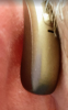 1620073392228.png
