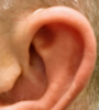 1620073511249.png