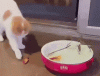 01_001.gif