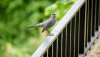 AME01729_HQ_16x9.jpg AME01729_HQ_16x9.jpg